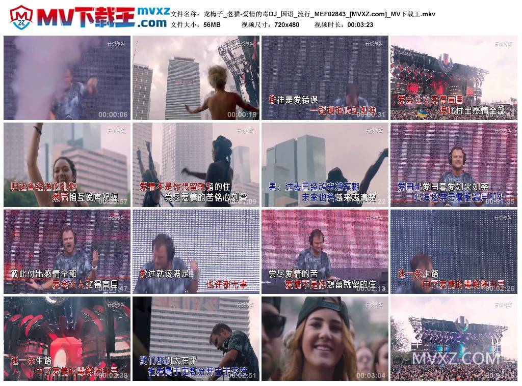 龙梅子_老猫-爱情的毒DJ_国语_流行_MEF02843